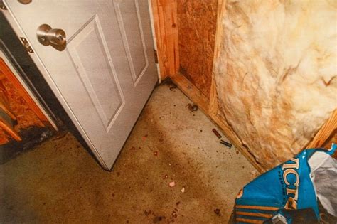 maggie murdaugh’s autopsy photo spread on the internet|Every Gruesome Crime Scene Photo Revealed In。